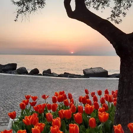 아파트 Magitti 네그라르